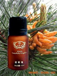 广州雨润美容美体与广州灵兰化妆品厂的平面设计合作